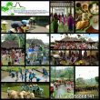 Program Live In Desa Wisata
