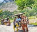 Sewa Andong di Prambanan: Pilihan Wisata Unik yang Dukung UMKM Lokal
